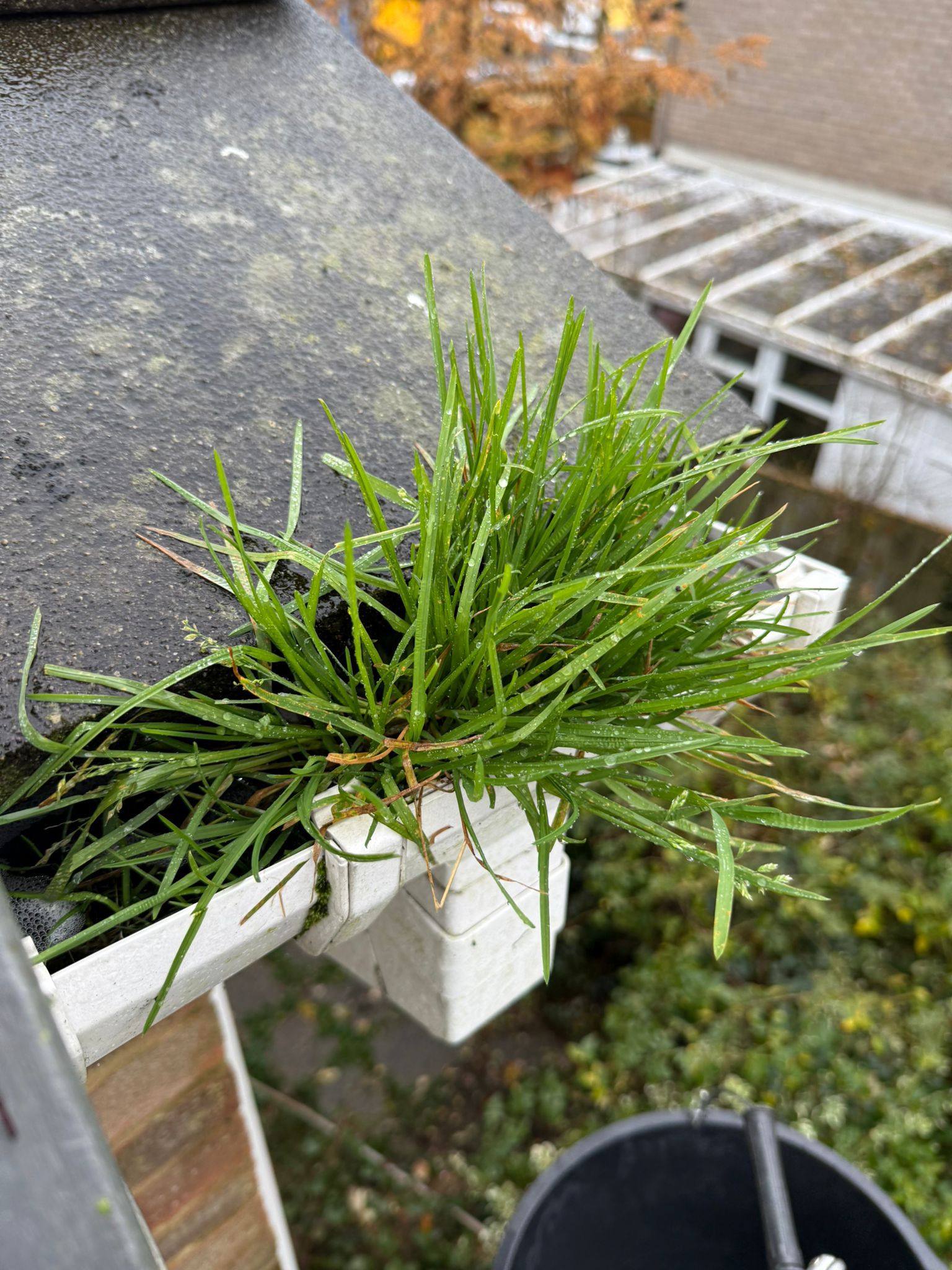 Blocked gutter downpipe in Hungerford