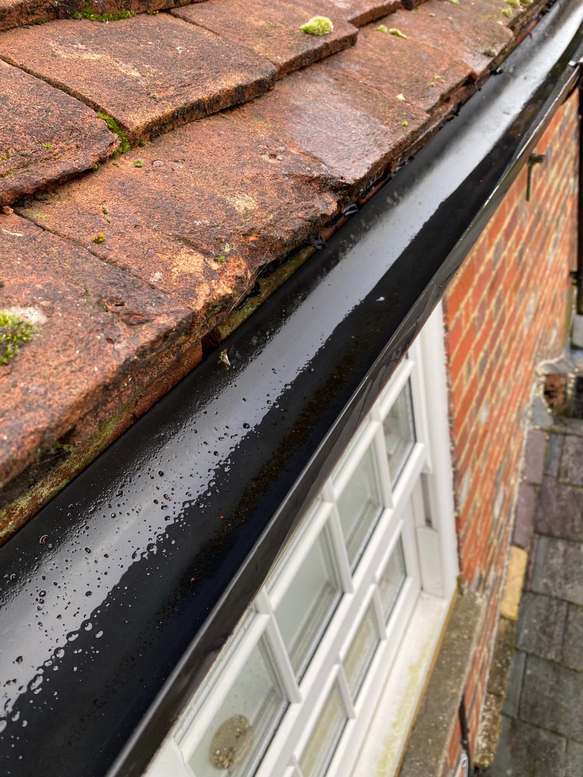 gutter cleared  - Eddington Gutter Clearance is the solution!